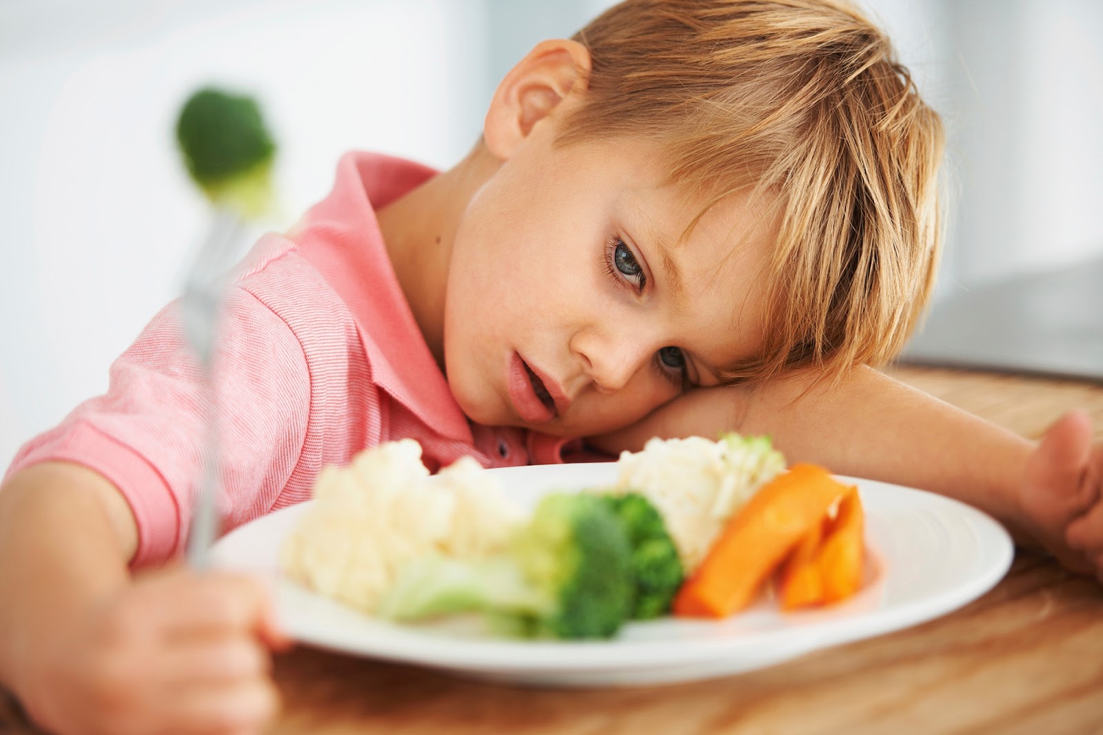 Kesalahan Yang Membuat Anak Jadi Susah Makan